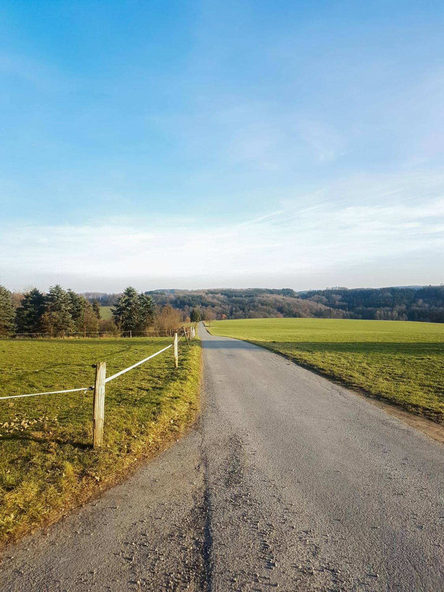 Waldbroel - Nahe Naturerlebnispark