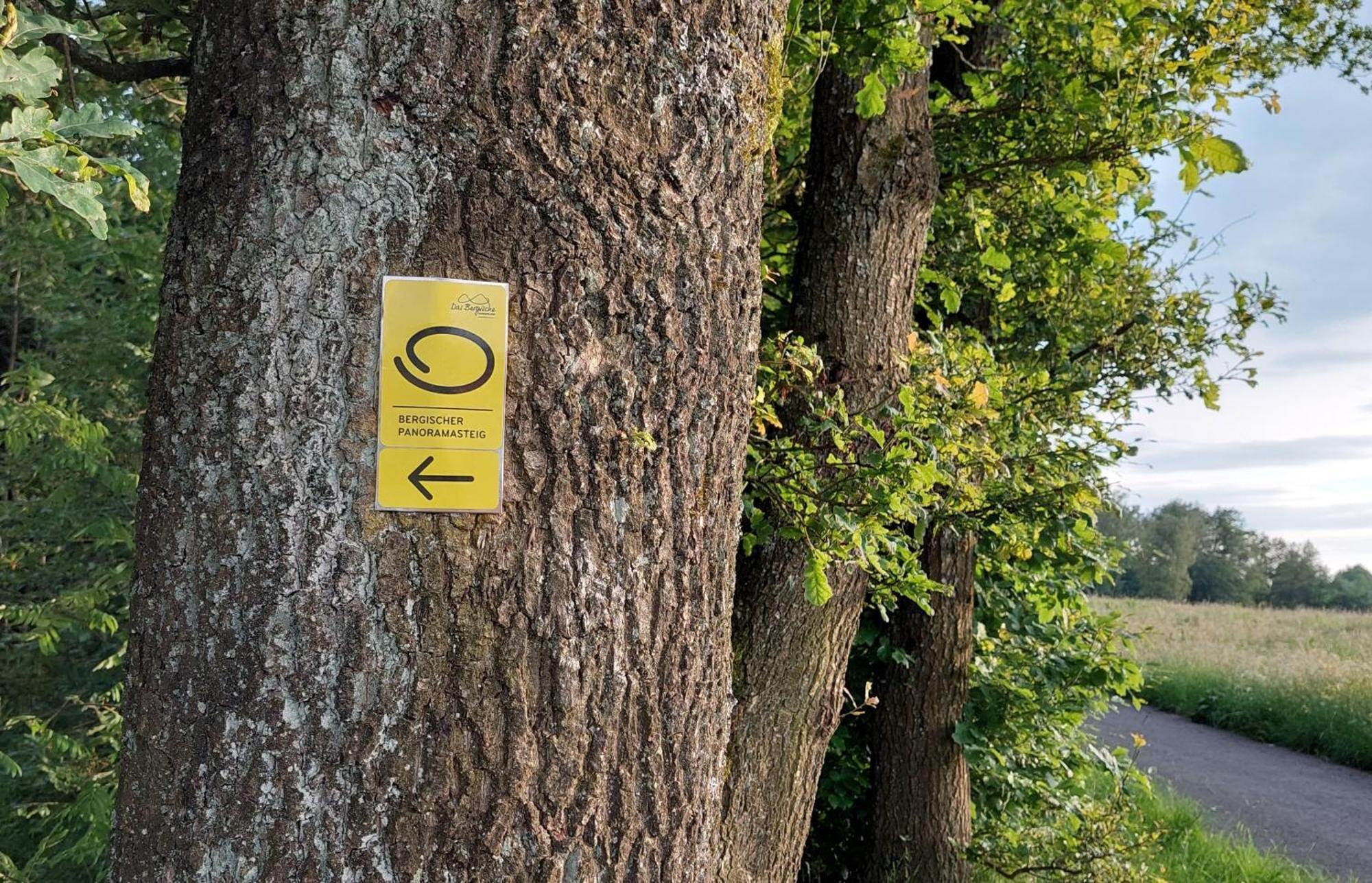 Apartment Waldbroel - Nahe Naturerlebnispark *
